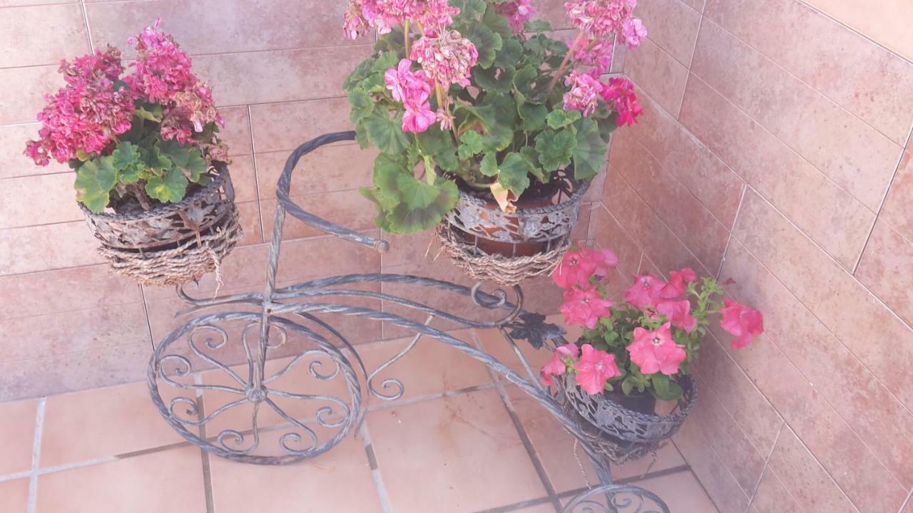 Apartmán Bravo 24 Fuengirola Exteriér fotografie